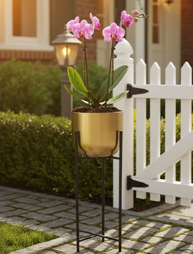 Planters